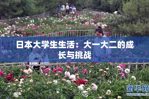 日本大学生生活：大一大二的成长与挑战