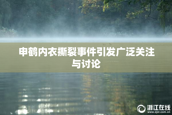 申鹤内衣撕裂事件引发广泛关注与讨论