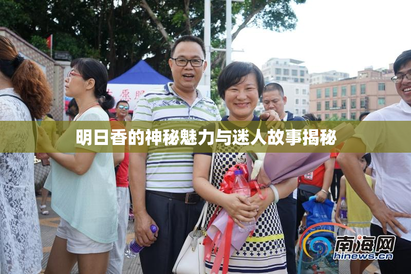 明日香的神秘魅力与迷人故事揭秘