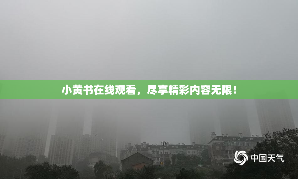 小黄书在线观看，尽享精彩内容无限！