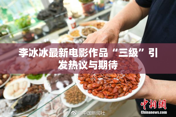 李冰冰最新电影作品“三级”引发热议与期待