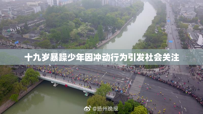 十九岁暴躁少年因冲动行为引发社会关注