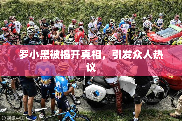 罗小黑被揭开真相，引发众人热议