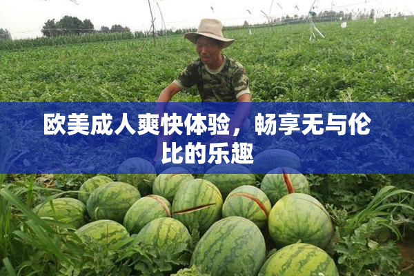 欧美成人爽快体验，畅享无与伦比的乐趣