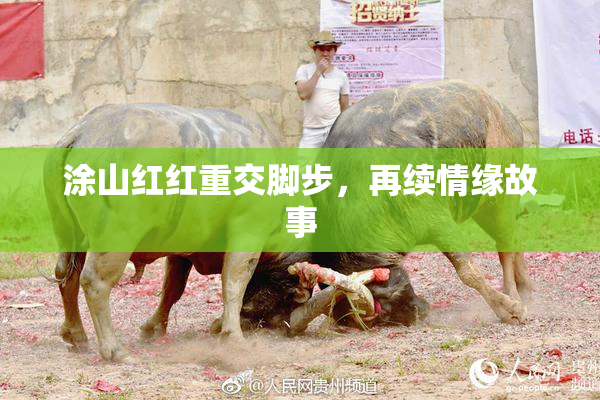 涂山红红重交脚步，再续情缘故事