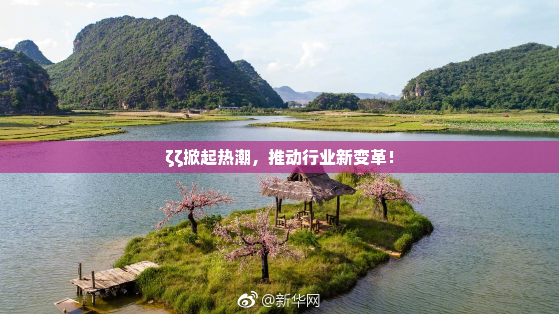 ζζ掀起热潮，推动行业新变革！