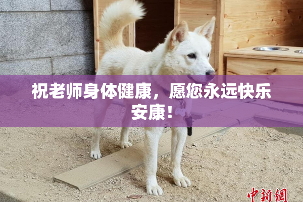 祝老师身体健康，愿您永远快乐安康！
