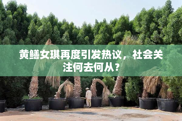 黄鳝女琪再度引发热议，社会关注何去何从？