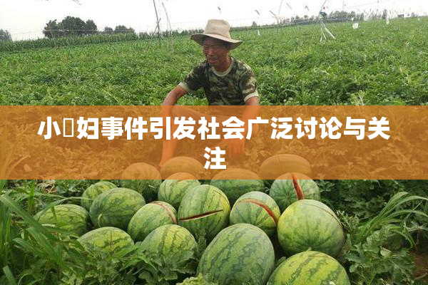 小婬妇事件引发社会广泛讨论与关注