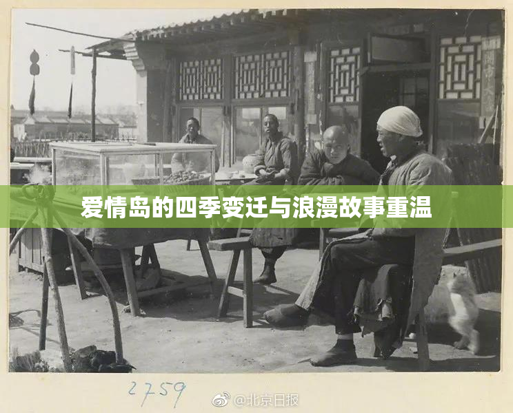 爱情岛的四季变迁与浪漫故事重温