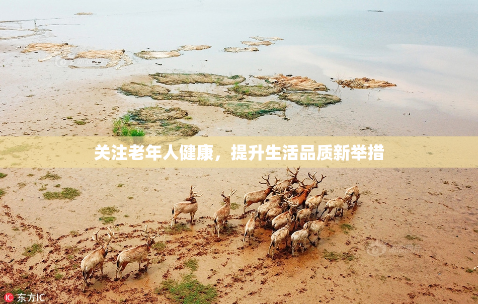 关注老年人健康，提升生活品质新举措