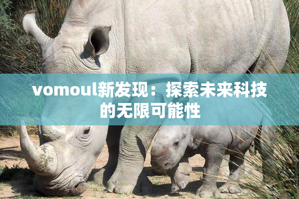 vomoul新发现：探索未来科技的无限可能性