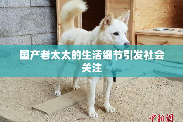 国产老太太的生活细节引发社会关注