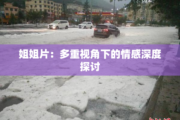 姐姐片：多重视角下的情感深度探讨