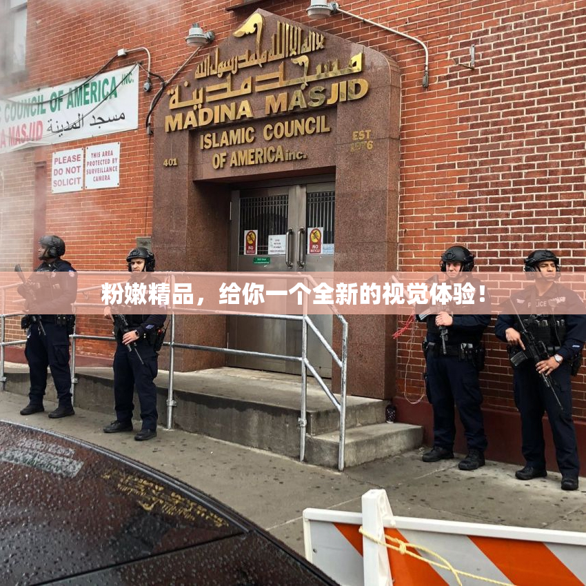 粉嫩精品，给你一个全新的视觉体验！