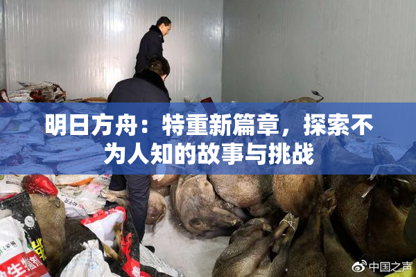 明日方舟：特重新篇章，探索不为人知的故事与挑战