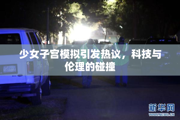 少女子宫模拟引发热议，科技与伦理的碰撞