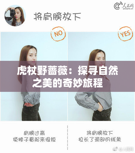 虎杖野蔷薇：探寻自然之美的奇妙旅程