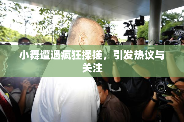 小舞遭遇疯狂揉搓，引发热议与关注