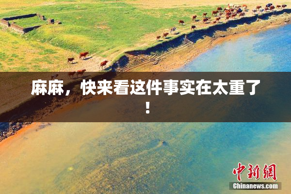 麻麻，快来看这件事实在太重了！
