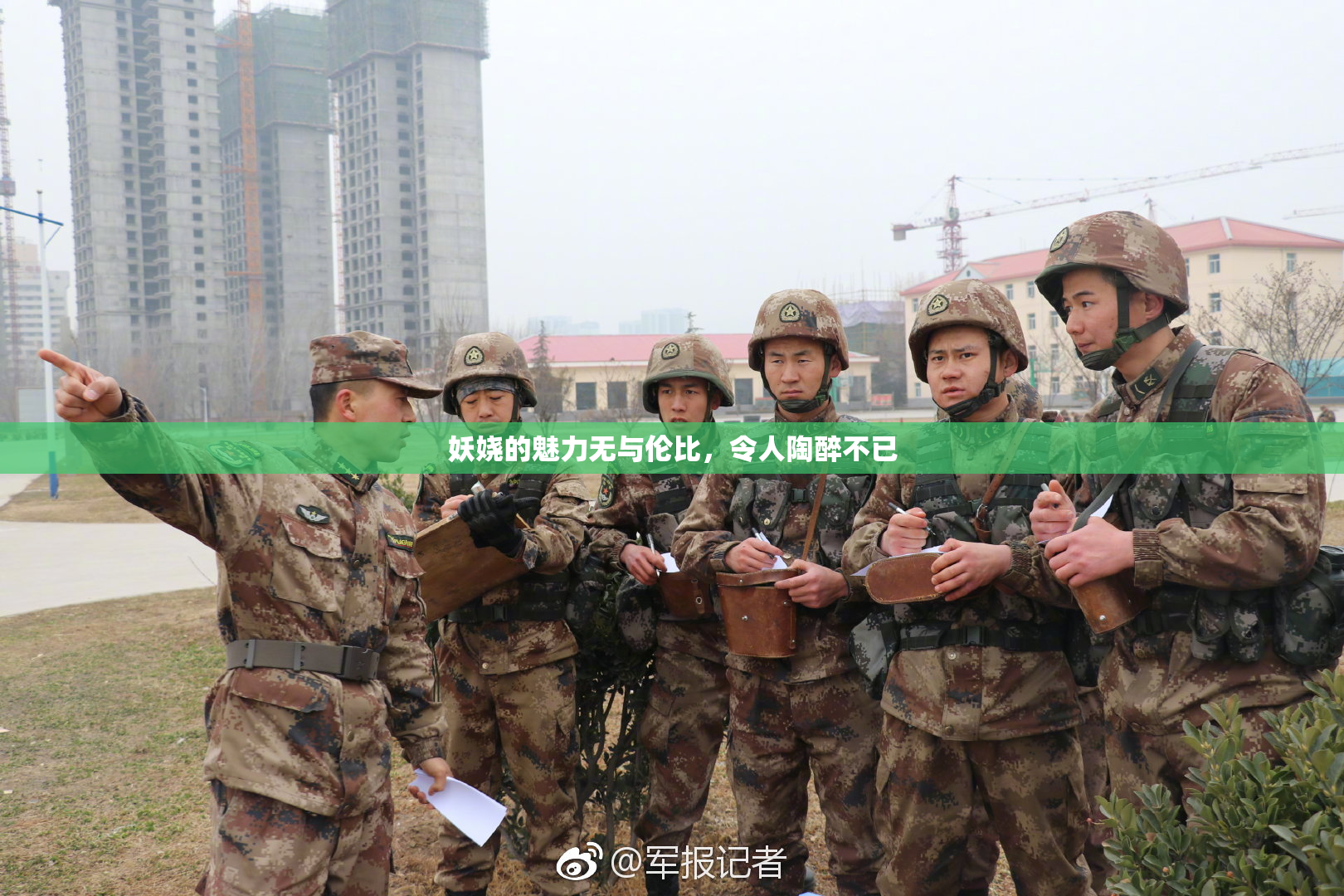 妖娆的魅力无与伦比，令人陶醉不已