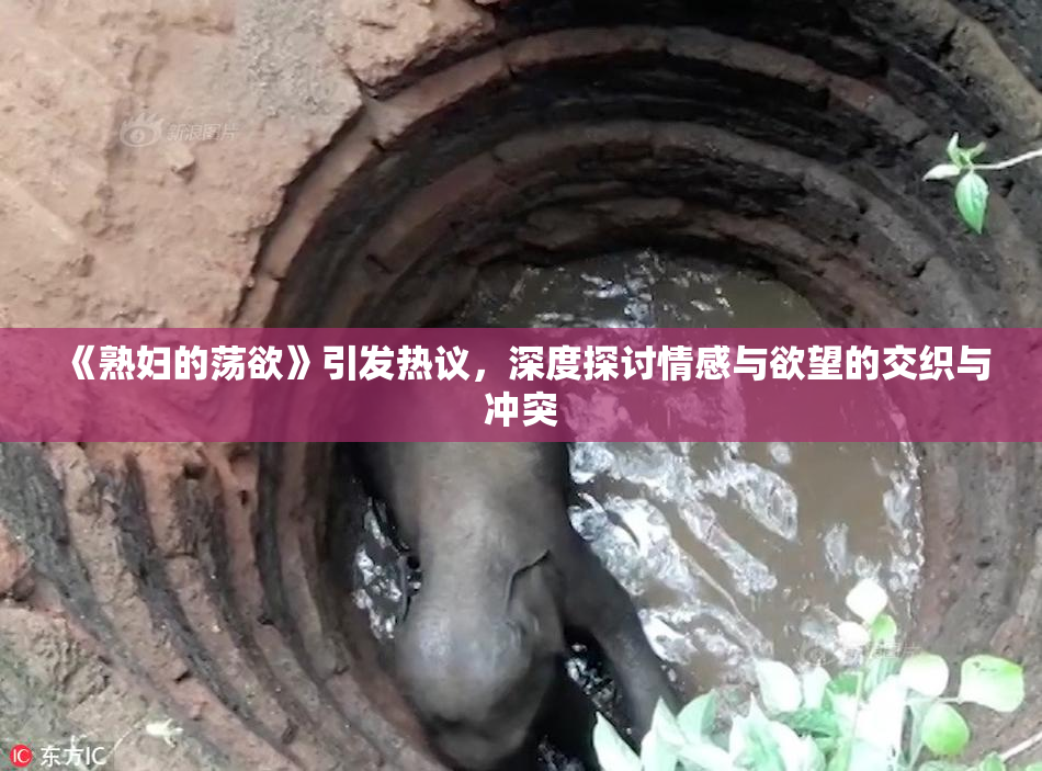 《熟妇的荡欲》引发热议，深度探讨情感与欲望的交织与冲突