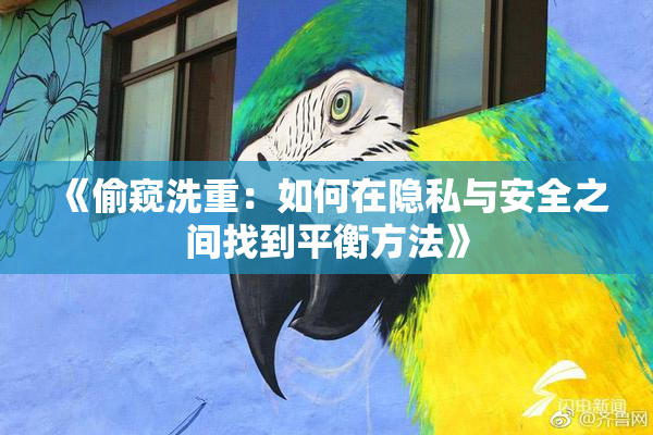 《偷窥洗重：如何在隐私与安全之间找到平衡方法》