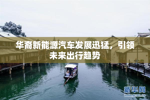 华裔新能源汽车发展迅猛，引领未来出行趋势
