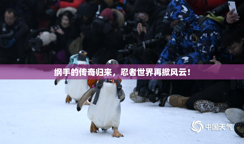 纲手的传奇归来，忍者世界再掀风云！