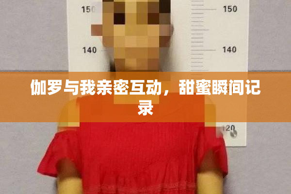 伽罗与我亲密互动，甜蜜瞬间记录