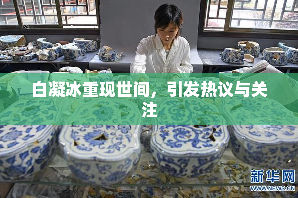 白凝冰重现世间，引发热议与关注