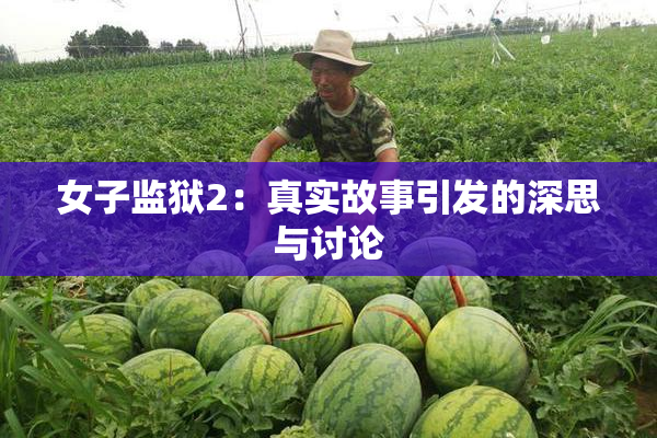 女子监狱2：真实故事引发的深思与讨论