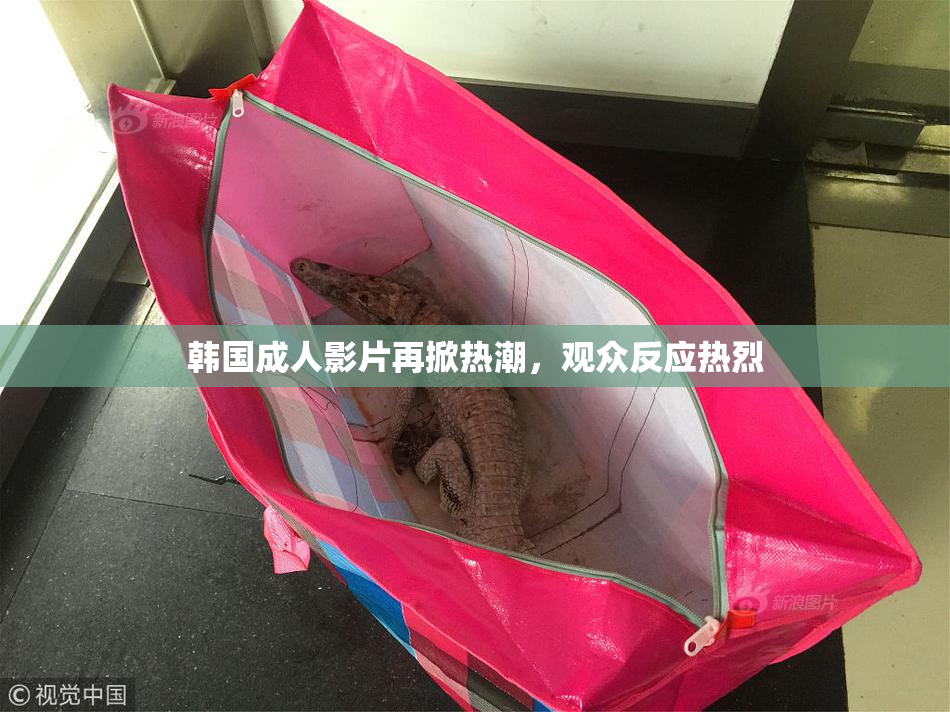 韩国成人影片再掀热潮，观众反应热烈