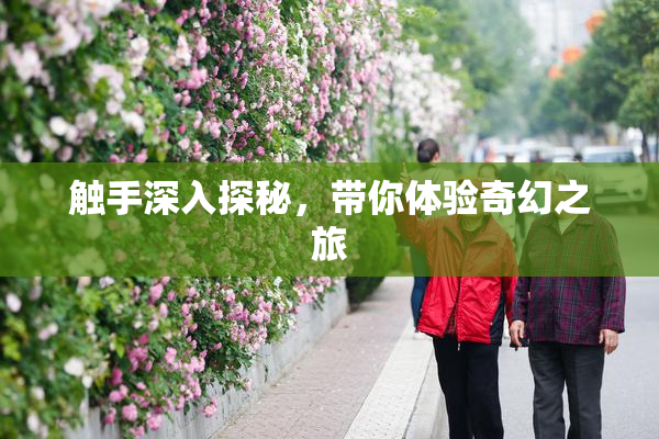 触手深入探秘，带你体验奇幻之旅