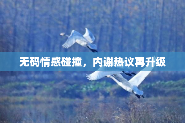 无码情感碰撞，内谢热议再升级