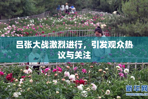 吕张大战激烈进行，引发观众热议与关注