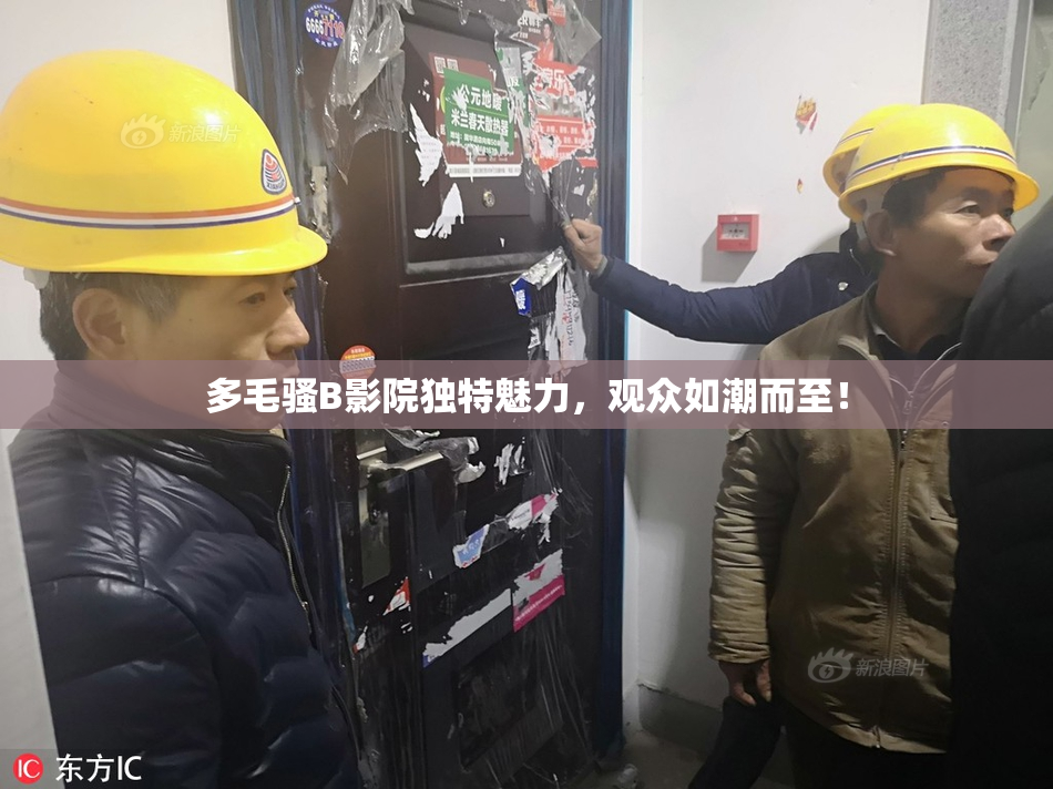 多毛骚B影院独特魅力，观众如潮而至！
