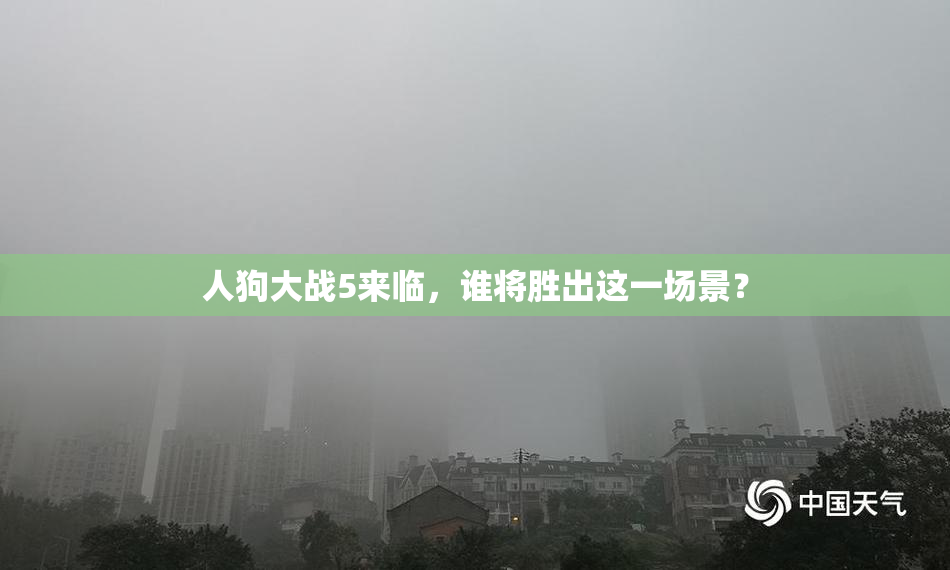 人狗大战5来临，谁将胜出这一场景？