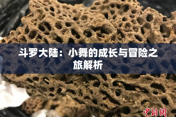 斗罗大陆：小舞的成长与冒险之旅解析