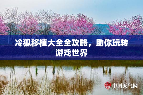 冷狐移植大全全攻略，助你玩转游戏世界