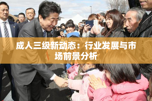 成人三级新动态：行业发展与市场前景分析
