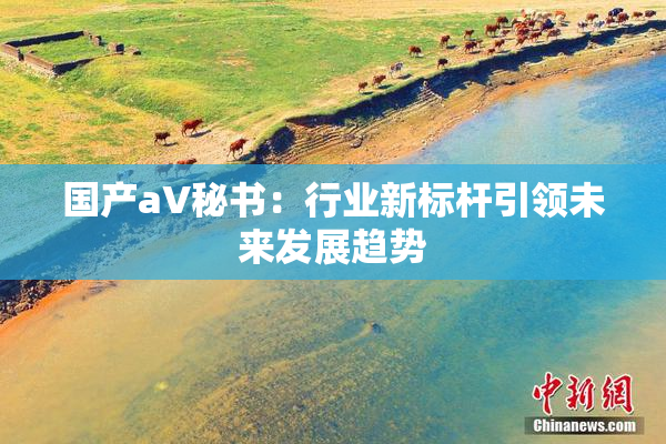 国产aV秘书：行业新标杆引领未来发展趋势