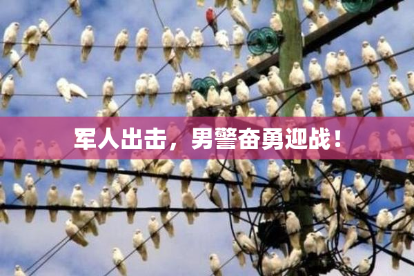 军人出击，男警奋勇迎战！