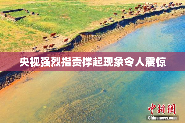 央视强烈指责撑起现象令人震惊
