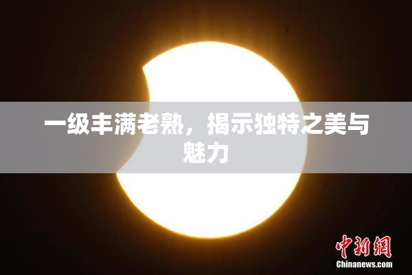 一级丰满老熟，揭示独特之美与魅力