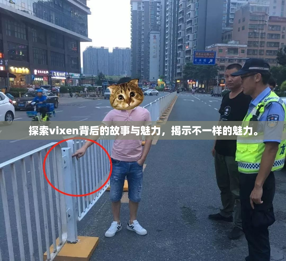 探索vixen背后的故事与魅力，揭示不一样的魅力。