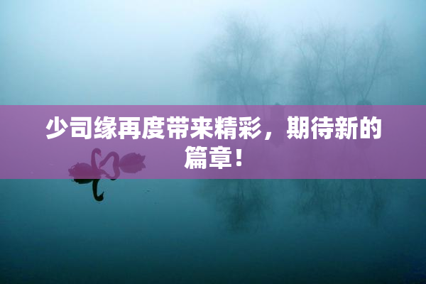 少司缘再度带来精彩，期待新的篇章！