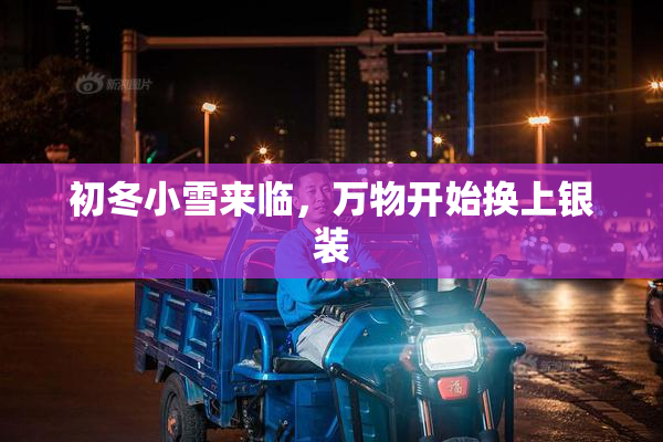 初冬小雪来临，万物开始换上银装