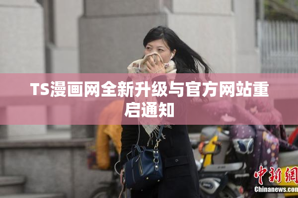 TS漫画网全新升级与官方网站重启通知