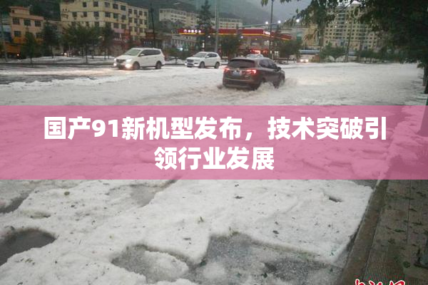 国产91新机型发布，技术突破引领行业发展